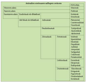 1. Taula 1. Irudia